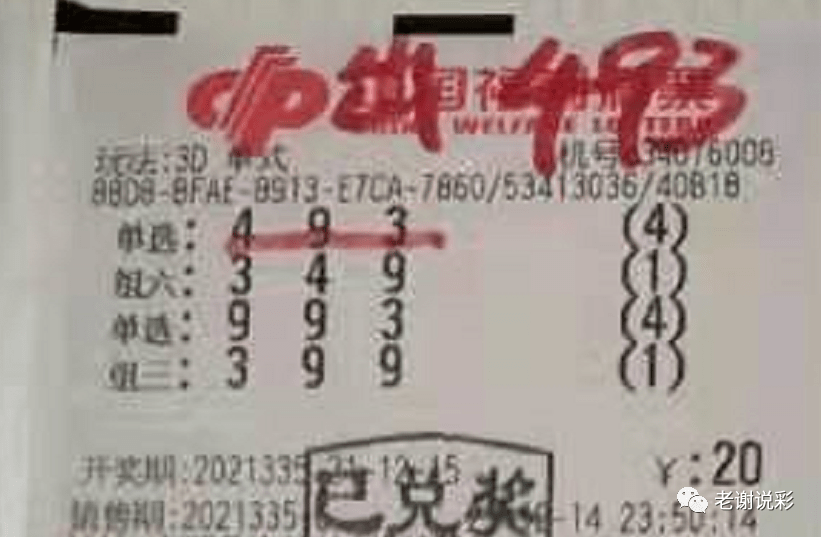 新奧門彩天天開獎(jiǎng)資料一網(wǎng)羅萬象，揭秘彩票奧秘，揭秘彩票奧秘，新奧門彩天天開獎(jiǎng)資料一網(wǎng)羅萬象