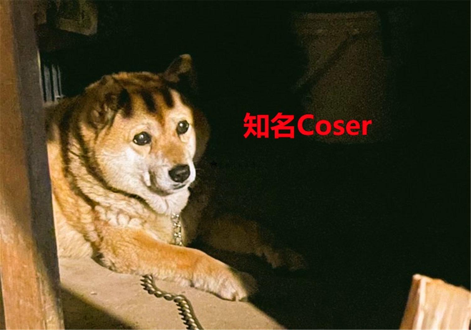 豬狗同行王中王，猜一肖，深度解析與SEO優(yōu)化，豬狗同行王中王猜謎解析與SEO優(yōu)化技巧，深度解析揭秘生肖之謎