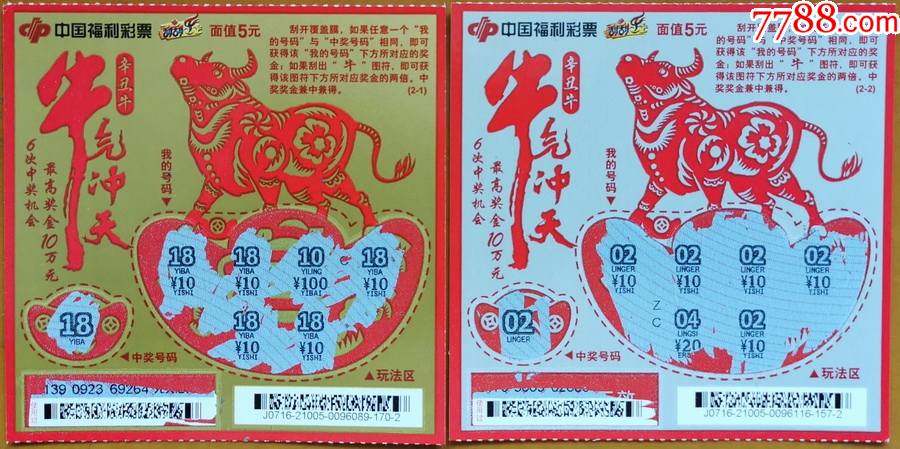 王中王19期指一生肖——探尋背后的奧秘與意義，王中王19期指一生肖，背后的奧秘與意義探尋