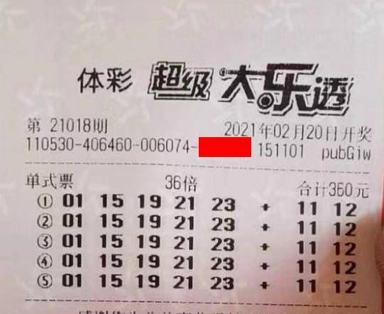王中王018期指一生肖，揭秘背后的奧秘與意義，揭秘生肖奧秘，王中王生肖背后的意義與秘密