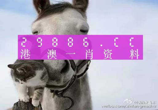 揭秘劉伯溫四肖選一碼的意思——探尋背后的故事與真相，揭秘劉伯溫四肖選一碼背后的真相與故事