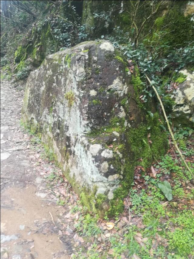 揭秘四不像劉伯溫一肖圖——探尋背后的神秘故事與SEO奧秘，揭秘四不像劉伯溫一肖圖背后的神秘故事與SEO奧秘探索