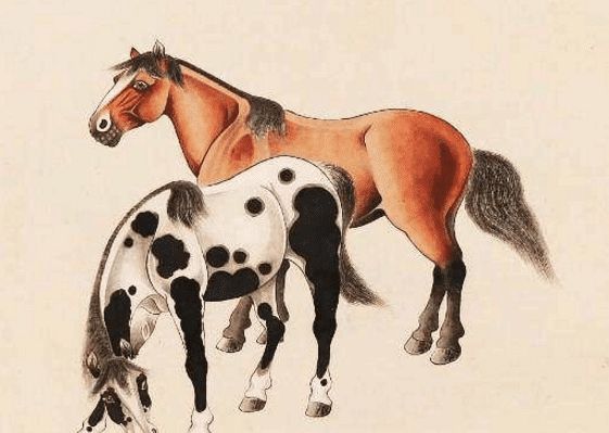 馬一王中王特平一肖圖，深度解析與SEO優(yōu)化策略，深度解析馬一王中王特平肖圖，SEO優(yōu)化策略探討