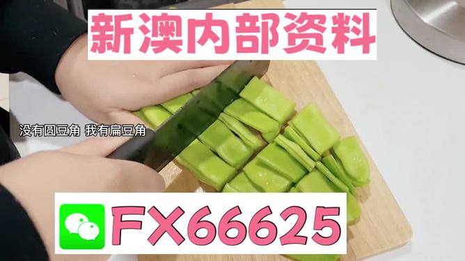 新澳精選資料免費(fèi)提供，探索優(yōu)質(zhì)資源的海洋，新澳精選資料免費(fèi)探索，優(yōu)質(zhì)資源海洋的開啟