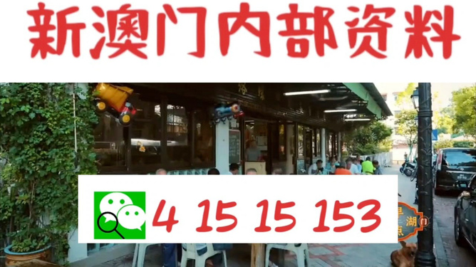 九點(diǎn)半澳門精準(zhǔn)最快開獎(jiǎng)結(jié)果，揭秘彩票背后的秘密，揭秘九點(diǎn)半澳門精準(zhǔn)彩票開獎(jiǎng)背后的秘密