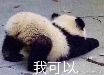 澳門四不像正版四不像網(wǎng)，探索真實與虛幻的交融之地，澳門四不像正版探索，真實與虛幻的交融世界