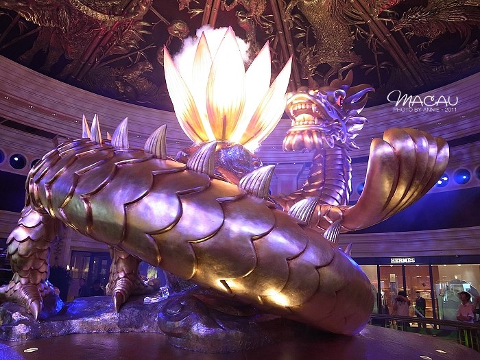 澳門無錯(cuò)七尾，探索與解析，澳門無錯(cuò)七尾，深度探索與解析