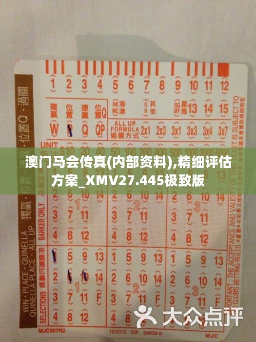 馬會(huì)傳真正版，探索正版馬會(huì)文化的魅力與價(jià)值，正版馬會(huì)文化的魅力與價(jià)值探索