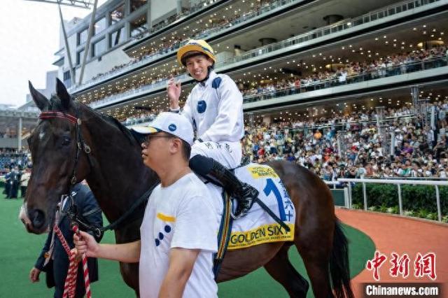 香港特馬王資料免費(fèi)公開，揭秘背后的秘密，香港特馬王資料揭秘，免費(fèi)公開背后的秘密