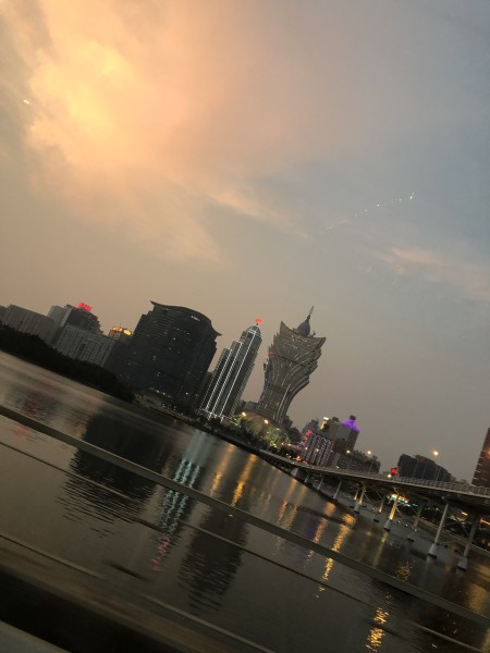 澳門今晚必開一肖一特，深度解析與預測，澳門今晚生肖特碼深度解析與預測，一肖一特必開趨勢探討