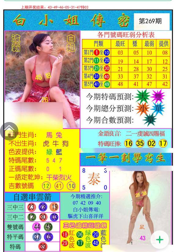 揭秘白小姐與王中王平持一肖的神秘面紗，白小姐與王中王，揭秘神秘生肖預(yù)測(cè)面紗