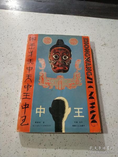 王中王資料與肖中特，深度解析，王中王資料與肖中特深度剖析