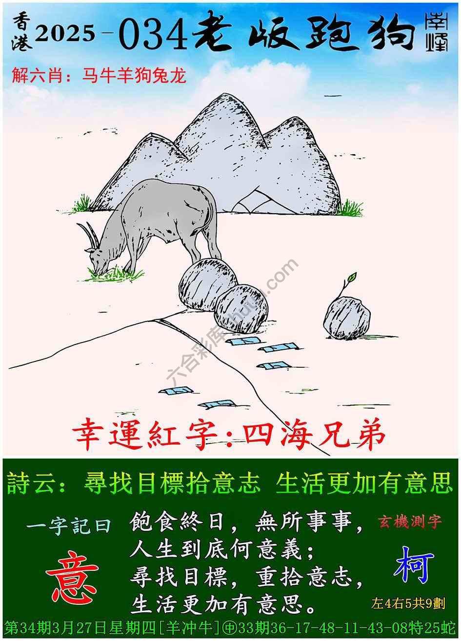 全新升級！探索7777788888新版跑狗資料，全新升級！探索跑狗資料7777788888新版揭秘