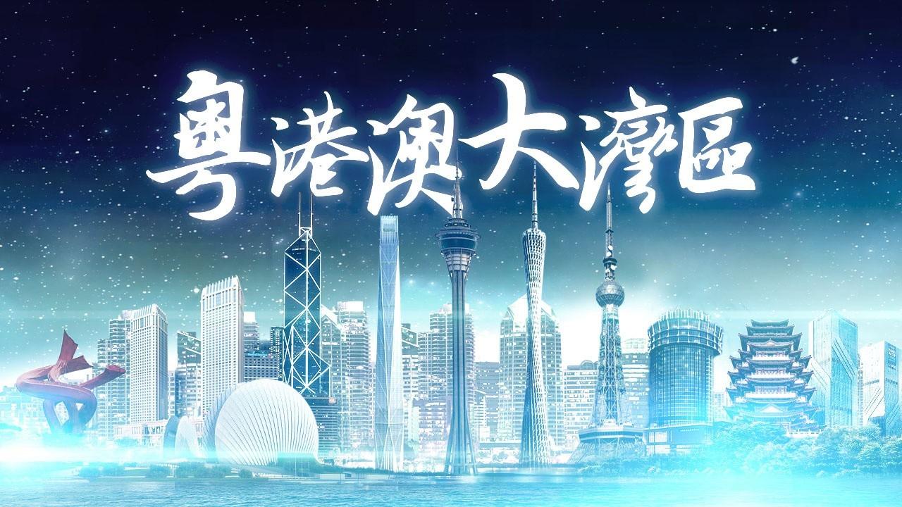 2025年香港正版免費(fèi)資料全面解析，香港正版免費(fèi)資料全面解析（2025版）