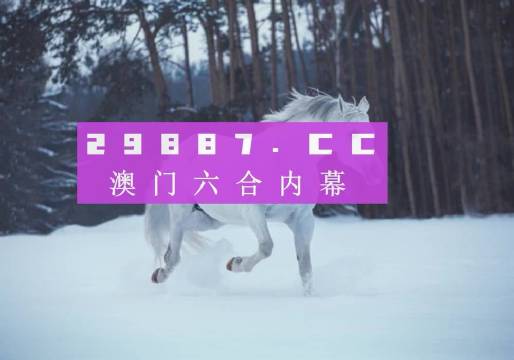 澳門風(fēng)采，探索142期澳門的獨(dú)特魅力，澳門風(fēng)采，探索第142期獨(dú)特魅力之旅