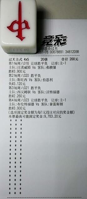 揭秘買(mǎi)一肖中獎(jiǎng)的賠率與風(fēng)險(xiǎn)，你真的準(zhǔn)備好了嗎？，揭秘買(mǎi)一肖中獎(jiǎng)背后的賠率與風(fēng)險(xiǎn)，你真的做好準(zhǔn)備了嗎？