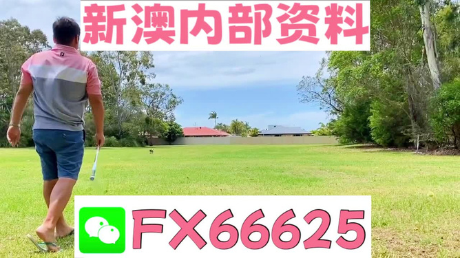 王中王兩肖一碼，揭秘背后的奧秘，王中王兩肖一碼揭秘，背后的秘密與奧秘