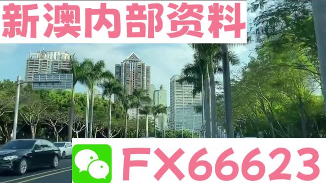 新澳精準(zhǔn)資料免費(fèi)提供，探索第221期的奧秘與價(jià)值，新澳精準(zhǔn)資料揭秘第221期奧秘與價(jià)值