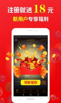 王中王一肖中打一，深度解析一種獨(dú)特的文化現(xiàn)象，王中王一肖中打一，獨(dú)特文化現(xiàn)象的深度探究