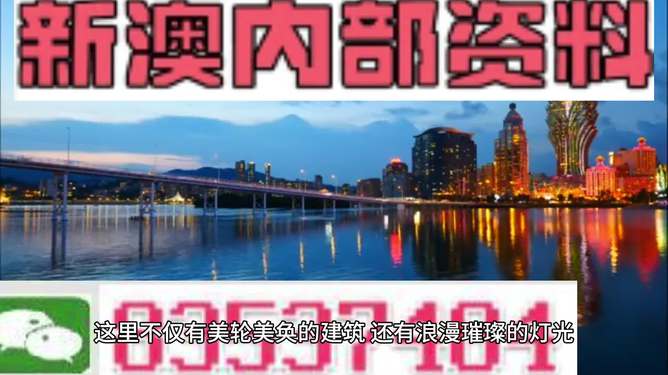 新澳新澳門正版資料，探索與解析，新澳新澳門正版資料深度解析與探索