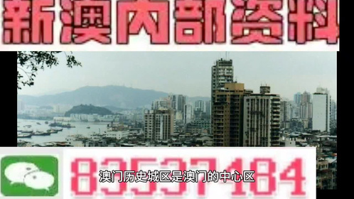 澳門全年最全免費資料大全，探索無盡的資源寶庫，澳門全年免費資料寶庫，探索無盡資源之旅