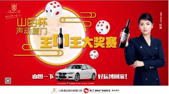 揭秘王中王背后的故事，從肖中的視角看其在SEO領(lǐng)域的輝煌成就，肖中視角下的王中王，SEO領(lǐng)域的輝煌成就揭秘