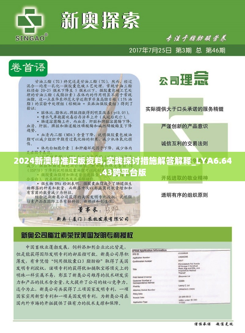 新奧2025正版資料查詢(xún)，全面解析與高效檢索方法，新奧2025正版資料全面解析與高效檢索指南