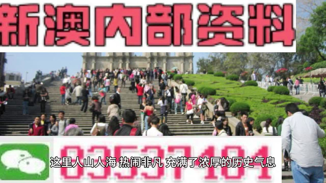 澳門最精準免費資料大全旅游團，探索澳門之旅的完美選擇，澳門最精準免費資料大全旅游團，探索澳門之旅的不二之選