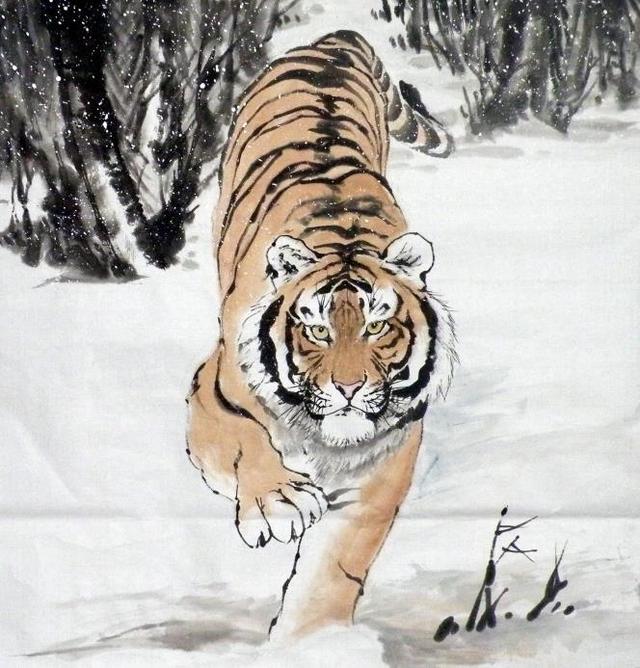 猛虎下山王中王，揭秘一生肖的神秘魅力，揭秘生肖之王——猛虎下山之神秘魅力