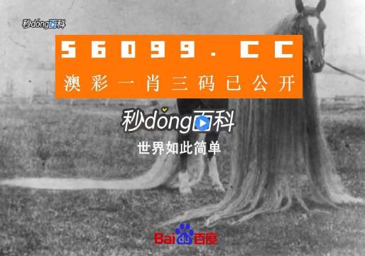 澳門(mén)一肖一碼一必中一肖舟山，揭秘彩票秘密，掌握幸運(yùn)之鑰，揭秘彩票秘密，澳門(mén)一肖一碼必中秘籍與幸運(yùn)之鑰在舟山開(kāi)啟