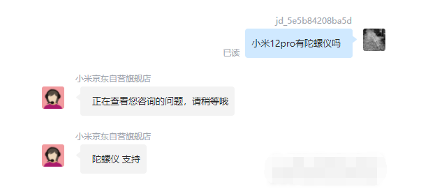王中王一肖碼，探索關(guān)鍵詞背后的奧秘，王中王一肖碼，揭秘關(guān)鍵詞背后的奧秘