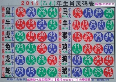 揭秘2025十二生肖與數(shù)字彩票的神奇聯(lián)系——49碼表全解析，揭秘十二生肖與數(shù)字彩票的神秘聯(lián)系，2025年49碼表深度解析