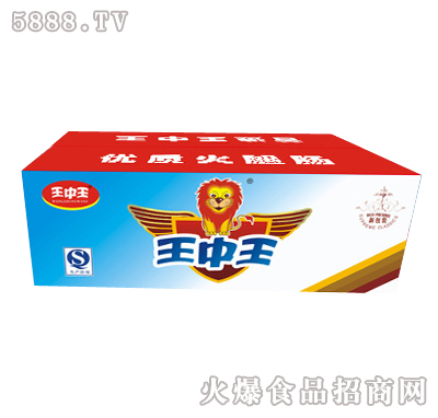 王中王一肖特圖，揭秘背后的故事與魅力，揭秘王中王一肖特圖的背后故事與魅力