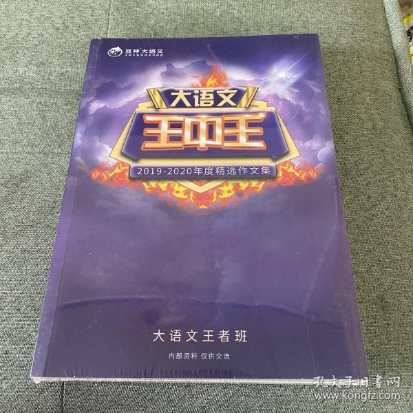 2019王中王資料解析，一肖中qr的秘密，揭秘王中王資料解析與一肖中qr的秘密，解密背后的真相