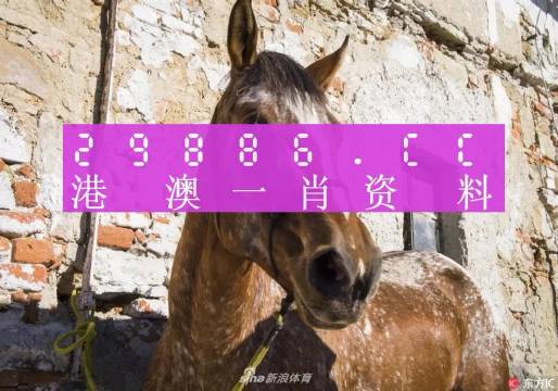 深度解析與探索 第9頁