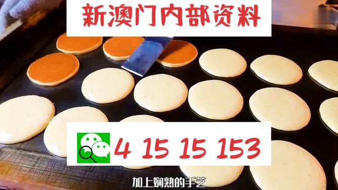 新澳門碼精準(zhǔn)資料，揭秘與探索，揭秘新澳門碼精準(zhǔn)資料探索之旅