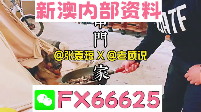 新澳門精準資料大全，管家婆料解析與探索，澳門精準資料大全，管家婆料解析與深度探索