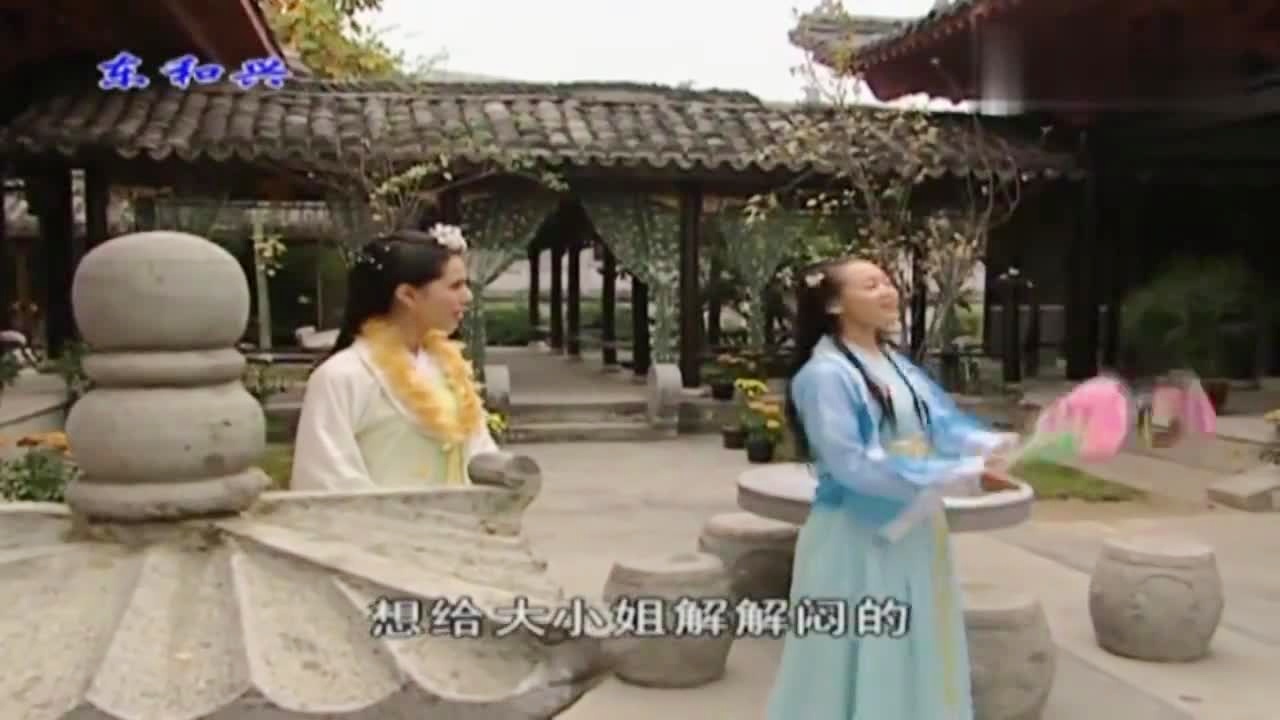 劉伯溫白小姐一肖期期準(zhǔn)，神秘預(yù)測(cè)背后的真相，劉伯溫白小姐生肖預(yù)測(cè)揭秘，神秘預(yù)測(cè)背后的真相