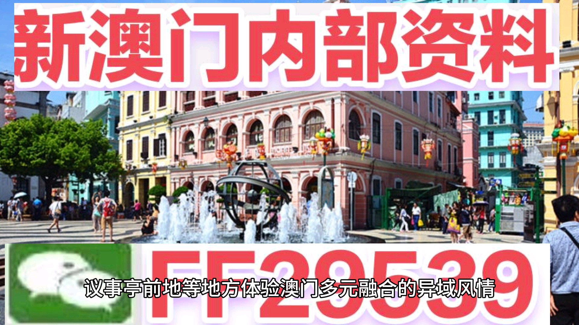 澳門今晚必開一肖一特，揭秘生肖彩票的魅力與策略，澳門生肖彩票揭秘，必開一肖一特的魅力與策略