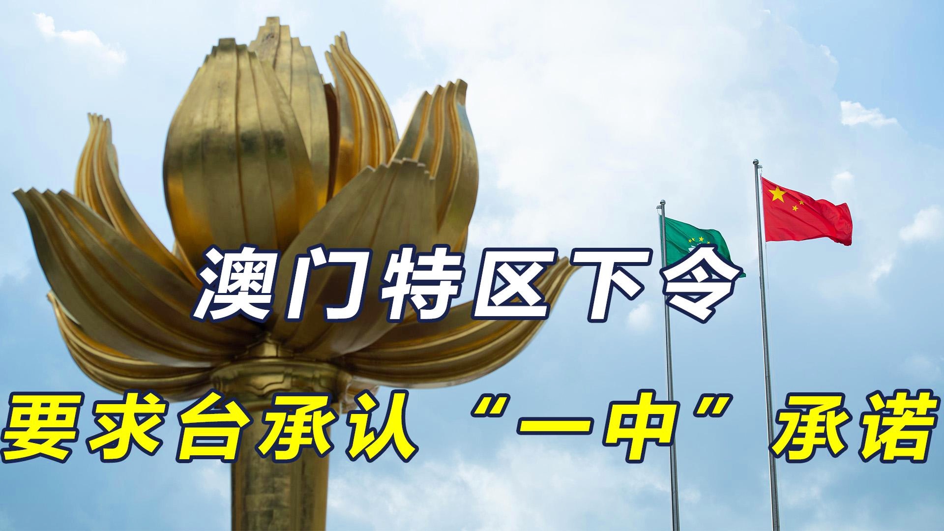 新澳門一碼一肖一特一中準選今晚——揭秘精準預(yù)測的秘密，揭秘澳門今晚精準預(yù)測的秘密，一碼一肖一特一中準選揭曉！
