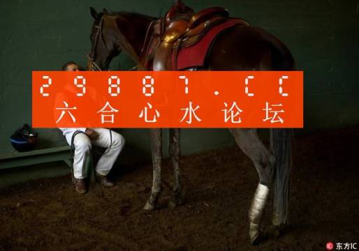 一肖一馬王中王一馬中特，深度解析與SEO優(yōu)化策略，一肖一馬王中王深度解析與SEO優(yōu)化策略探討