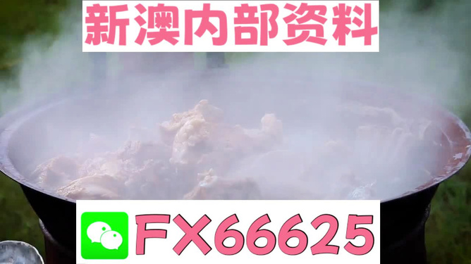 新澳全年免費資料大全，一站式獲取優(yōu)質(zhì)資源指南，新澳全年優(yōu)質(zhì)資源免費獲取指南