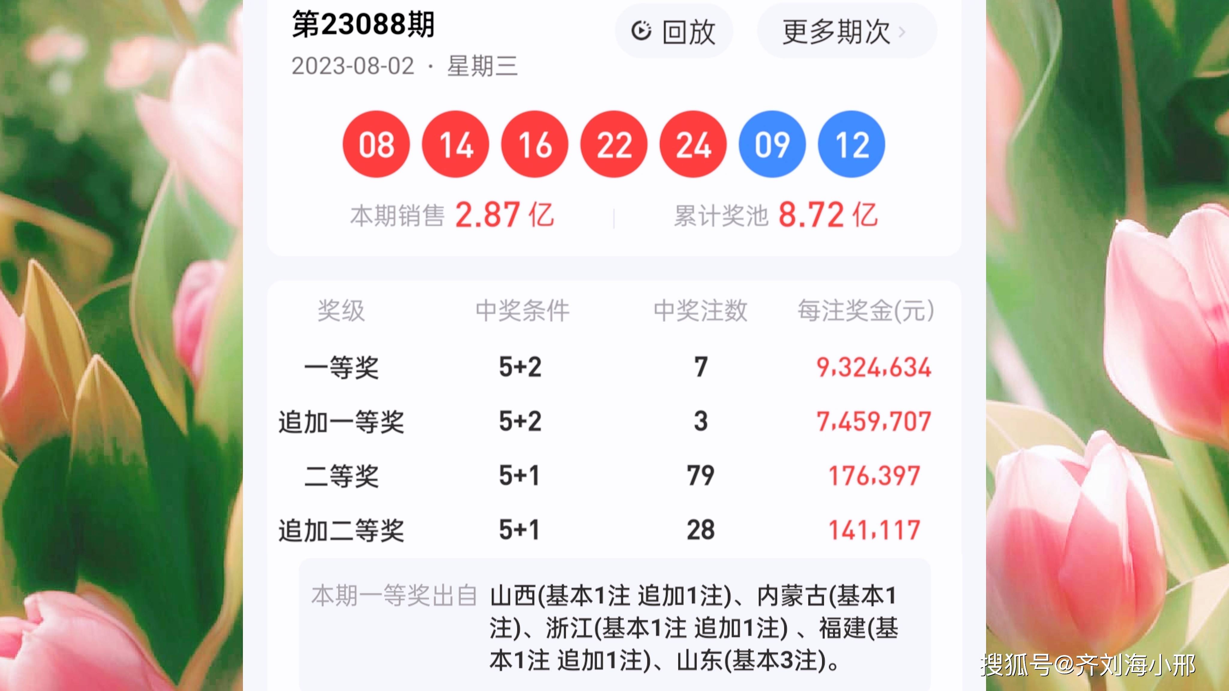 最新開獎(jiǎng)結(jié)果揭曉，王中王與一肖中的幸運(yùn)時(shí)刻，王中王與一肖中幸運(yùn)時(shí)刻揭曉，最新開獎(jiǎng)結(jié)果出爐