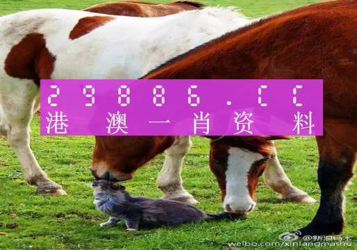 新奧門一肖一碼，揭秘精準(zhǔn)預(yù)測的秘密，揭秘新澳門一肖一碼精準(zhǔn)預(yù)測的秘密