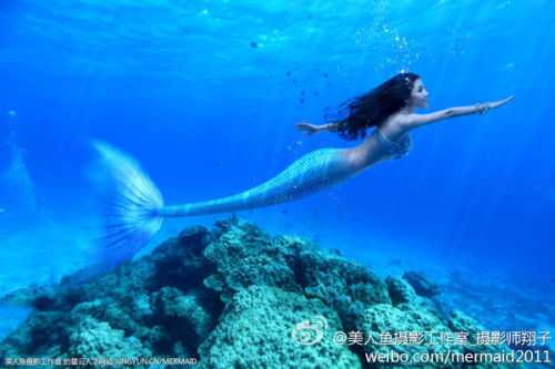 澳門美人魚最快開獎結果圖——揭秘熱門彩票游戲背后的秘密，澳門美人魚彩票開獎揭秘，最新結果圖與游戲背后秘密探索
