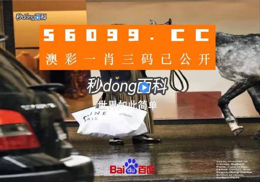 新澳一碼三中三資料，探索與解析，新澳一碼三中三資料解析與探索
