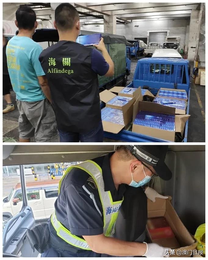澳門今晚必開一肖080，揭秘生肖運(yùn)勢(shì)與預(yù)測(cè)之謎，澳門今晚必開一肖揭秘，生肖運(yùn)勢(shì)預(yù)測(cè)之謎開啟！
