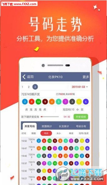 王中王四肖選一，揭秘選擇與優(yōu)化策略，王中王四肖選一，選擇與優(yōu)化策略的揭秘