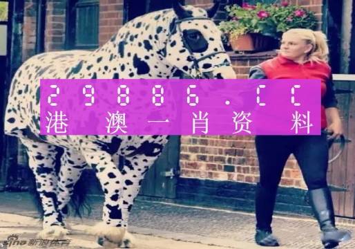 澳彩平肖王中王，一笑一碼的秘密與SEO優(yōu)化策略，澳彩平肖王中王，揭秘一笑一碼背后的SEO優(yōu)化策略