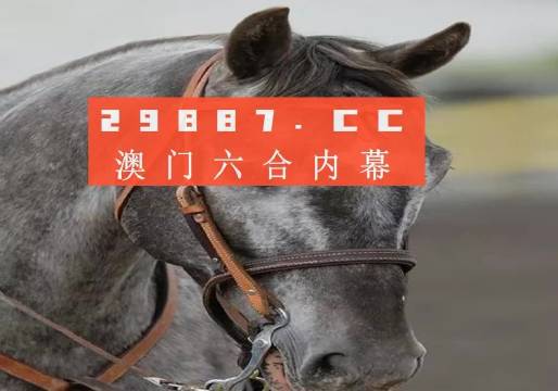 澳門一一碼一特一中準選今晚，探索真實有效的選擇與策略，澳門今晚一特一中準選碼，真實有效的選擇與策略探索